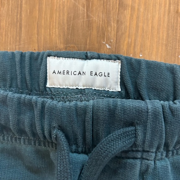 American Eagle Outfitters Teal Joggers Size M Streetwear Athleisure Distressed - Picture 4 of 15